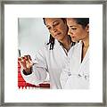 Researchers Comparing Slides In Hematology Lab Framed Print