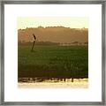 Resting Crane In The Kaw Reseve Framed Print