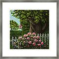 Rhododendron Framed Print