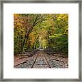 Ride Into The Colors Of Fall Framed Print