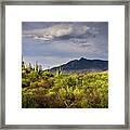 Rincon Peak And Saguaro Cactus Sunset Light, Tucson Az Framed Print