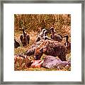 Rest In Peace Life Goes On In Africa Framed Print