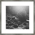 River Flowing Through Rocks In Forest Framed Print