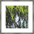 River Tree Reflections Framed Print
