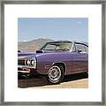 Road Runner Framed Print