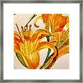 Roadside Beauty Framed Print