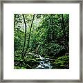 Roaring Fork Nature Trail Of The Smokies Framed Print