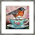 Robin In Your Cup Framed Print