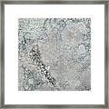 Rock Lichen Framed Print