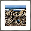 Rocks, Waves And Tide Pools Framed Print