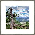 Rocky Mountain Tree Framed Print