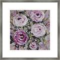 Romantic Pink Rose Framed Print