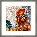 Rooster Attitude Framed Print