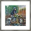 Rooster Tail Framed Print