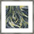 Root On The Rock Plateau Framed Print