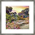 Rose Garden In June Framed Print