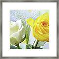 Roses And China Grass Framed Print