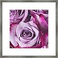 Lavender Rose Bouquet Framed Print