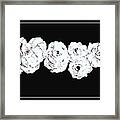 Roses Blanche Sur Noir Framed Print