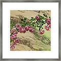 Roses Branching Out Framed Print