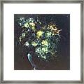 Rosey Graces Framed Print