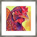 Rosie The Rhode Island Red Chicken Framed Print