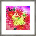 Rosy Posey Framed Print