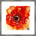 Ruffled Orange Rose Framed Print
