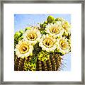 Saguaro Cactus Blooms Framed Print
