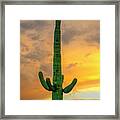 Saguaro East Of Sunset 24899 Framed Print