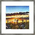 Saguaro Sunrise Panorama, Arizona Framed Print
