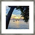 Sailboats At Sunset From Behind The Trees Framed Print