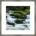 Salmon River Rapids Framed Print