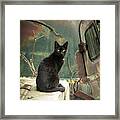 Salvage Yard Black Cat Framed Print