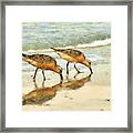 Sand Pipers Framed Print