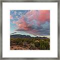 Sandia Pink Framed Print