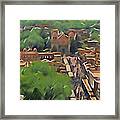 Santa Fe Indian Market Framed Print