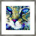 Sapphire The Opulent Cat In Contemporary Vibrant Colors 20200926 V3 Framed Print