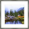 Saturated Forest Framed Print