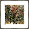 Scenes In The Country Framed Print