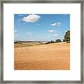 Scenic Spanish Landscape, Holly Oak, Quercus Ilex Framed Print