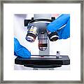 Scientist Looking Through A Microscope In A Laboratory. Young Scientist Doing Some Research. Framed Print