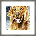 Scully Rose Dog Painting Framed Print