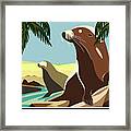 Sea Lion, Channel Islands, Ca Framed Print