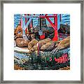 Sea Lions Framed Print