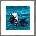 Sea Otter Snack Time Framed Print