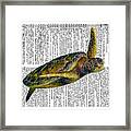 Sea Turtle 2 On Dictioinary Framed Print