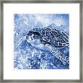 Sea Turtle 3 In Blue Framed Print