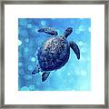 Sea Turtle Bubbly Blues Framed Print