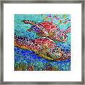 Sea Turtle Buddies Ii Framed Print